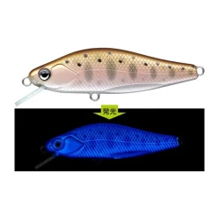 Poisson Nageur Evergreen Nelmezzo 50 FS