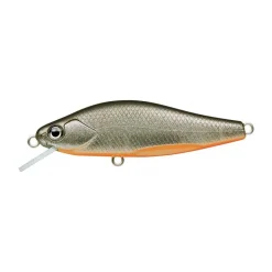 Poisson Nageur Evergreen Nelmezzo 50 FS