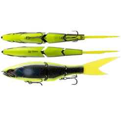 Poisson Nageur Galapagos Grace 24cm