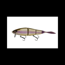 Poisson Nageur Galapagos Grace 210 L