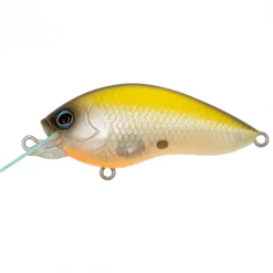 Poisson Nageur Grassroots Runbbit 58 F