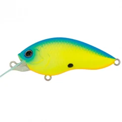 Poisson Nageur Grassroots Runbbit 58 F