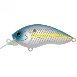 Poisson Nageur Grassroots Runbbit 58 F