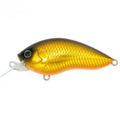 Poisson Nageur Grassroots Runbbit 58 F