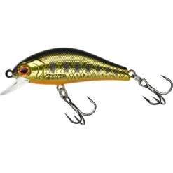 Poisson Nageur Gunki Rodan 40 SHW