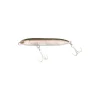 Poisson Nageur Illex Chatter Beast 70