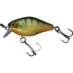 Poisson Nageur Illex Chubby 41 SR