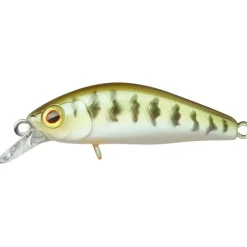 Poisson Nageur Illex Chubby Minnow 35 SP