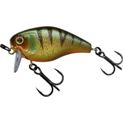 Poisson Nageur Illex Chubby 41 SSR