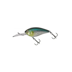 Poisson Nageur Illex Digle 2 +