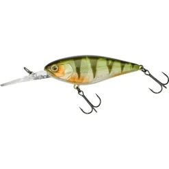 Poisson Nageur Illex Flat DD Squirrel 79