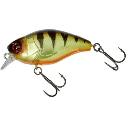 Poisson Nageur Illex Magnum Chubby 50