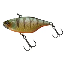Poisson Nageur Illex TN 80