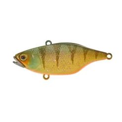 Poisson Nageur Illex TN 60