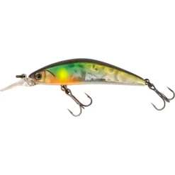 Poisson Nageur Illex Tricoroll GT 56 MD F