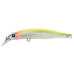 Poisson Nageur Jackson Artist FR105