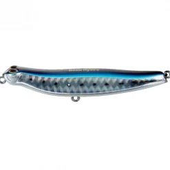 Poisson Nageur Jackson Debu Nyoro 120
