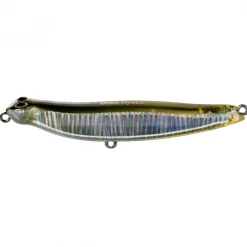 Poisson Nageur Jackson Debu Nyoro 120