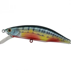 Poisson Nageur Jackson Meteora 52