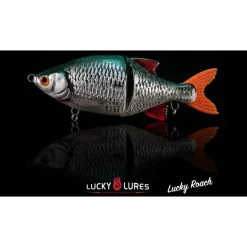 Poisson Nageur Lucky Lures Lucky Roach
