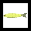 Poisson Nageur Madness Balam 200