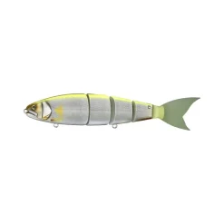 Poisson Nageur Madness Balam Variant 255