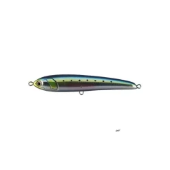 Poisson Nageur Maria Rapido F 230