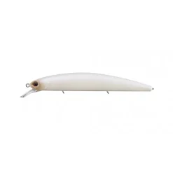 Poisson Nageur OSP Rudra 130 Sinking