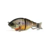 Poisson Nageur Raid Japan G-Dash 13cm