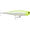 Poisson Nageur Rapala Precision Xtreme Pencil SW 10,7cm