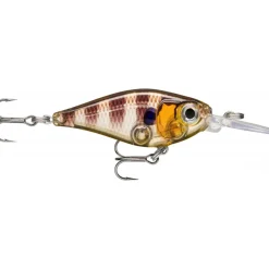 Poisson Nageur Rapala X-Light Shad 4cm