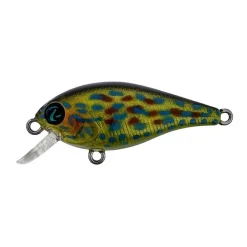 Poisson Nageur River2Sea Biggie 37 SD