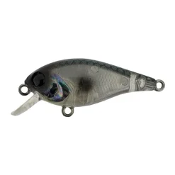 Poisson Nageur River2Sea Biggie 37 SD