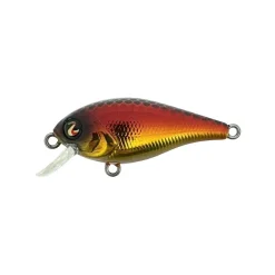 Poisson Nageur River2Sea Biggie 37 SD