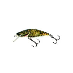 Poisson Nageur Salmo Bullhead