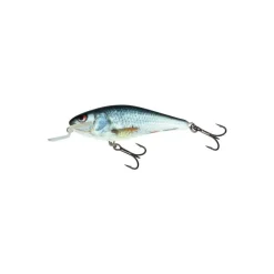 Poisson Nageur Salmo Executor