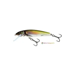 Poisson Nageur Salmo Minnow Flottant 6cm