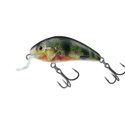 Poisson Nageur Salmo Rattlin Hornet Shallow 3,5cm