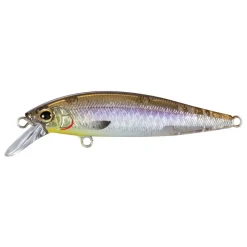 Poisson Nageur Shimano Cardiff Stream Flat 65S