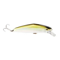 Poisson Nageur Smith D-Coax 51