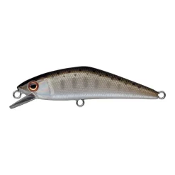 Poisson Nageur Smith D-Contact 63 FES