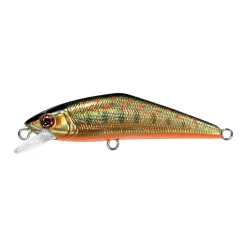 Poisson Nageur Smith D-Contact 63 FES