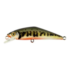 Poisson Nageur Smith D-Contact 63 FES