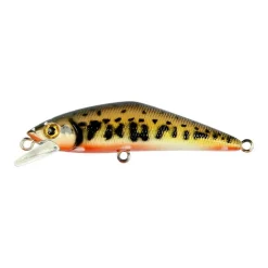 Poisson Nageur Smith D-Contact 63 FES