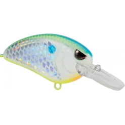 Poisson Nageur Spro Little John Type R MD 50