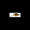 Poisson Nageur Strike Pro Cranky X Deep 50