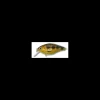 Poisson Nageur Strike Pro Cranky X 50