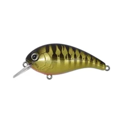 Poisson Nageur Tackle House Elfin Crank 4,5cm