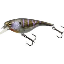 Poisson Nageur Westin Babybite SR