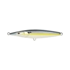 Poisson Nageur Xorus Asturie 110